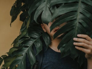 Curso sobre el tratamiento de fobia social